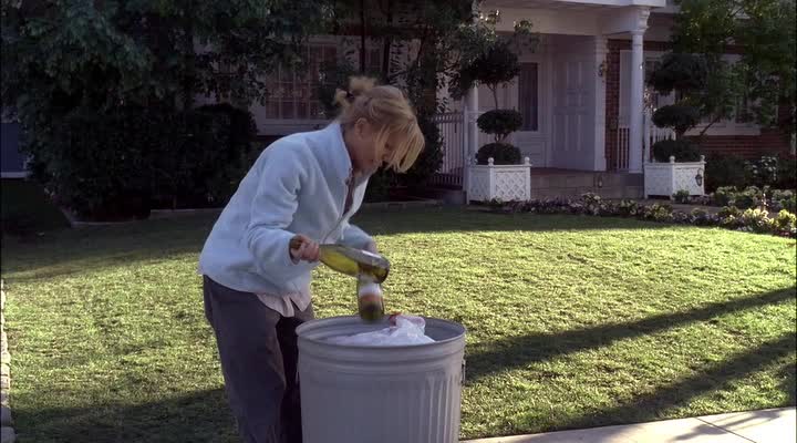 Отчаянные домохозяйки 2 сезон 15 серия